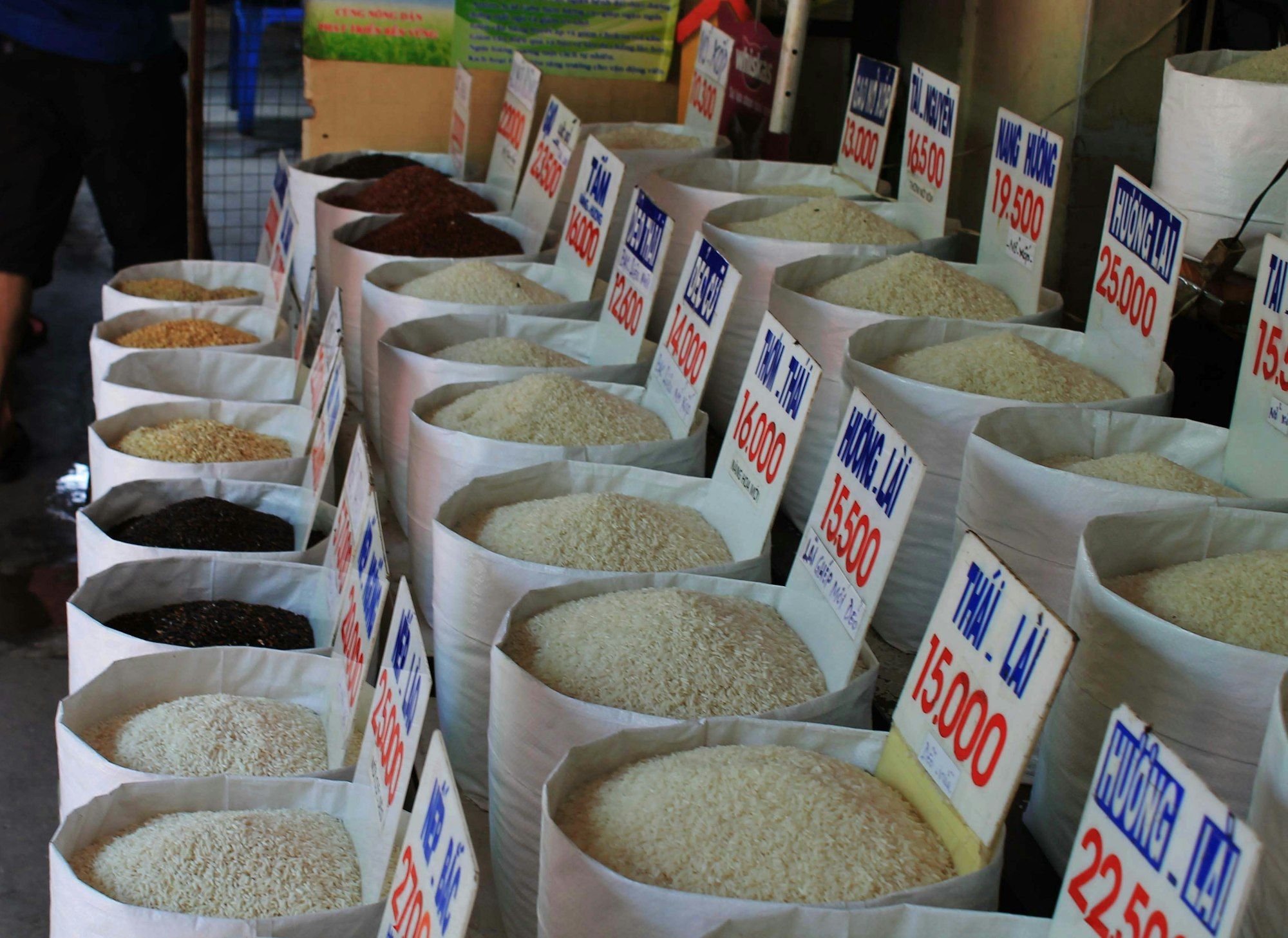 Open sacks of different kinds of rice lined up at a market.